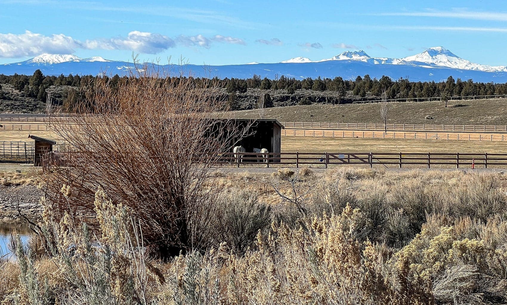 Photo of 15944 SW Brasada Ranch Road 21 of 30