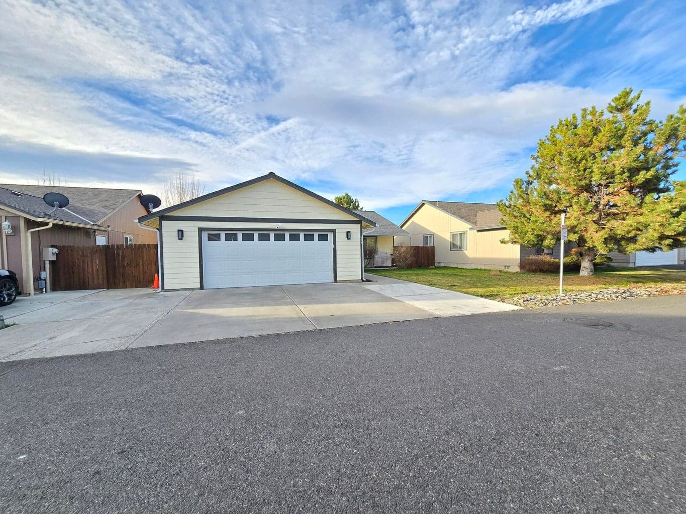 577 Sugar Pine