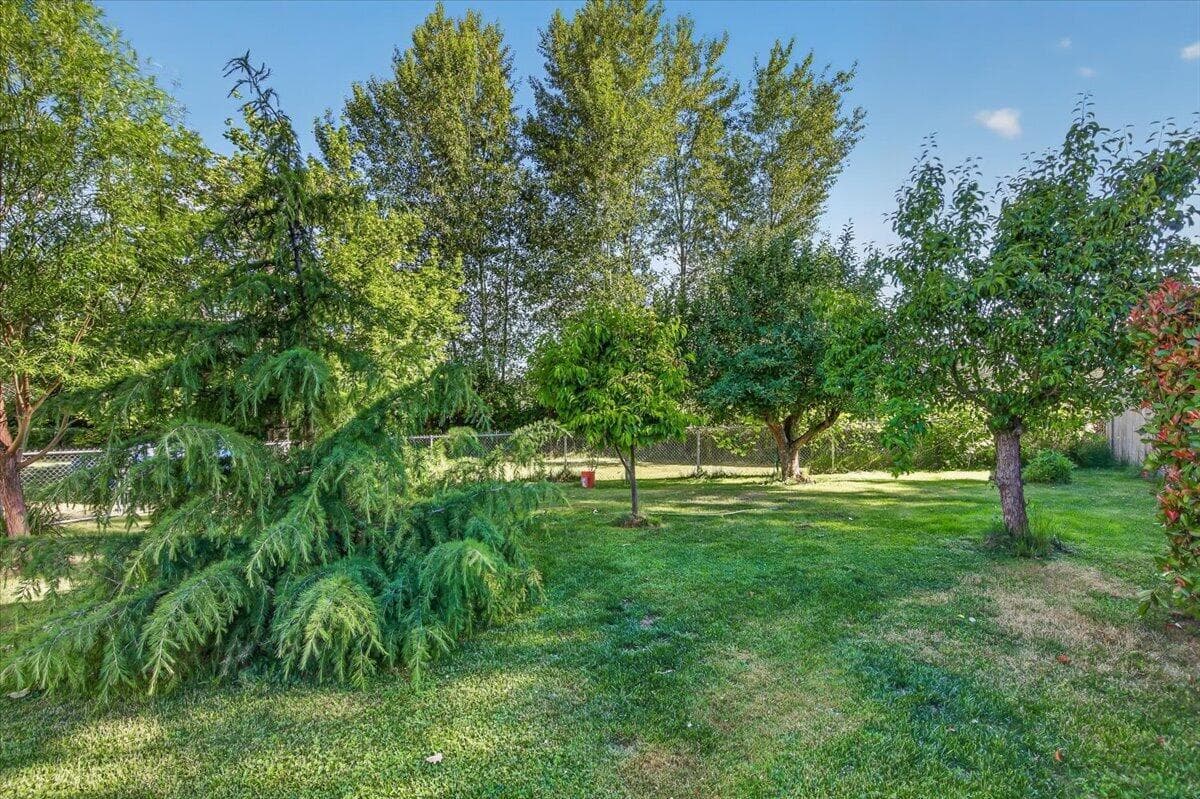 Front and Side Yard