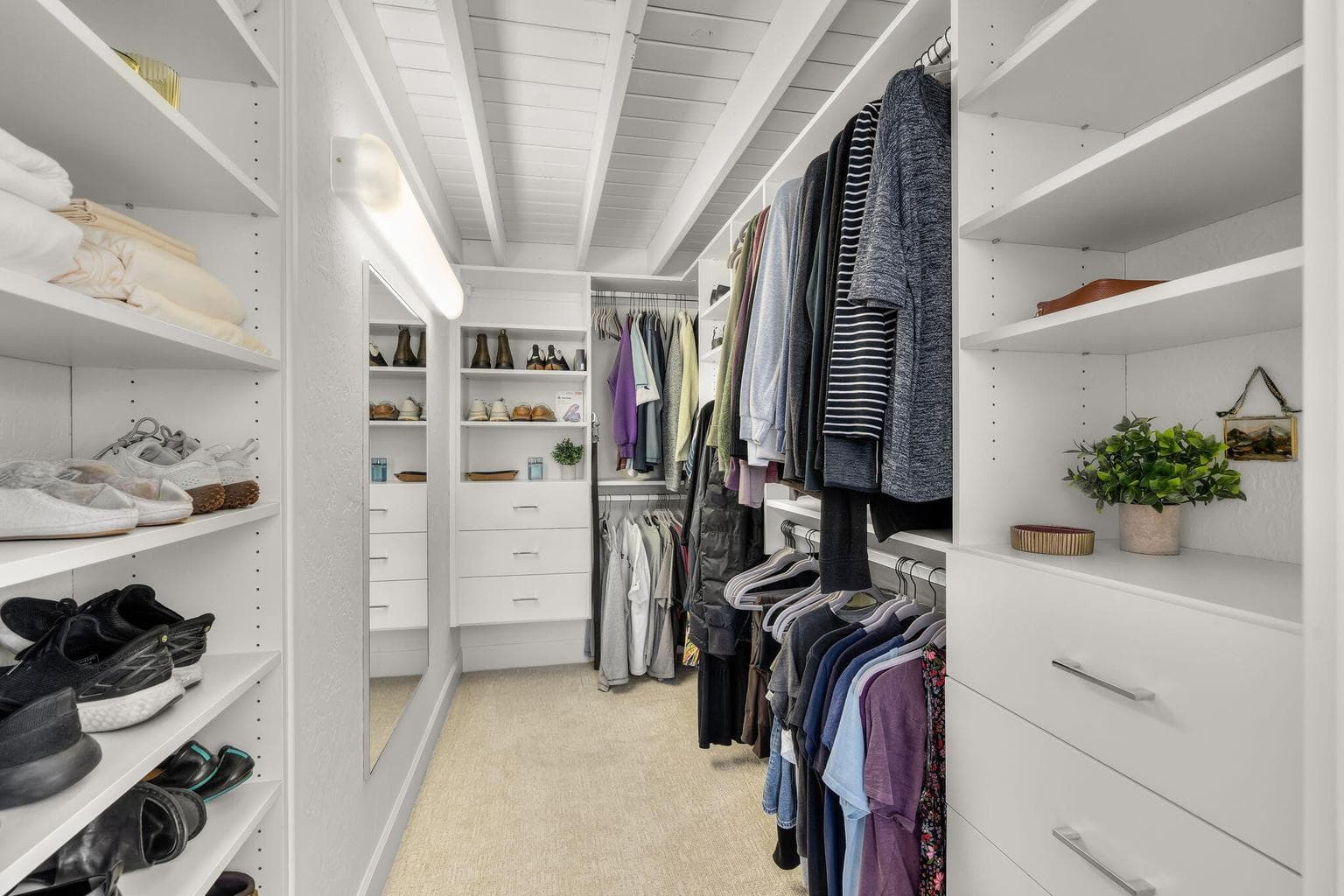 New closet system