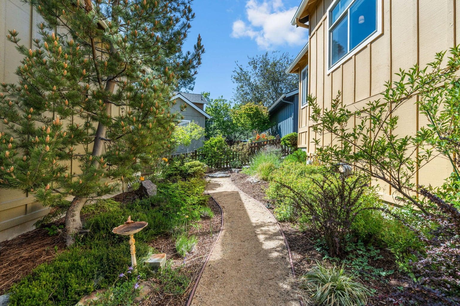 Side yard with path