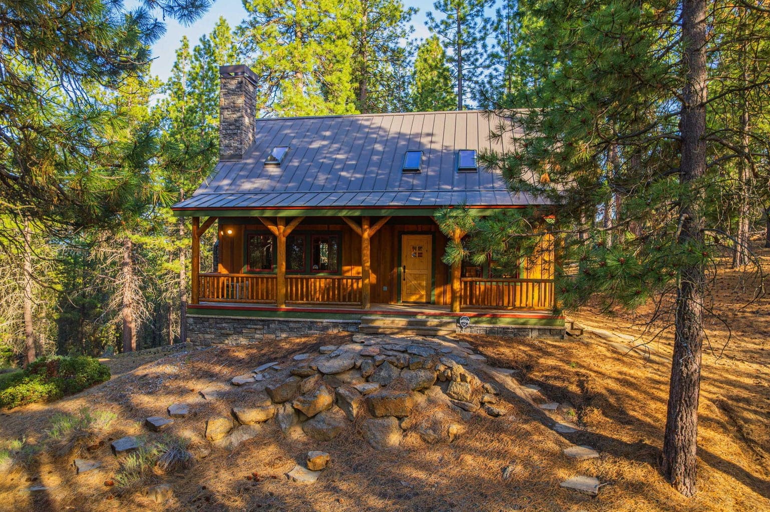 54655 Jack Pine