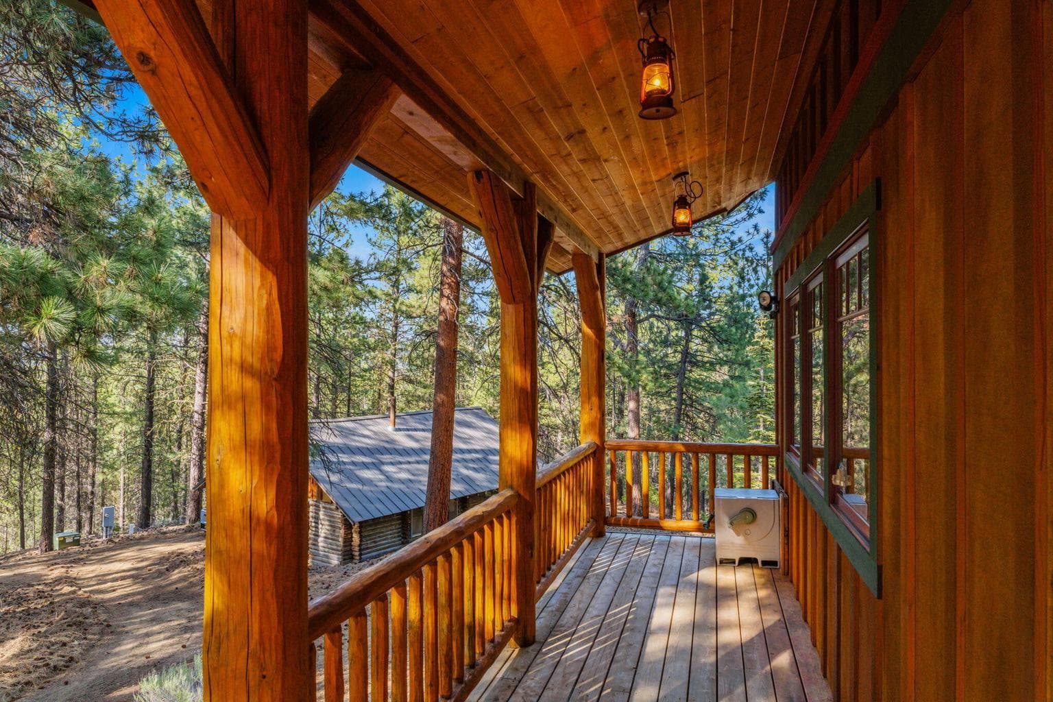 Photo of 54655 Jack Pine 4 of 76