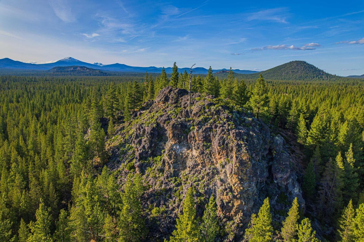 Photo of 54655 Jack Pine 2 of 76