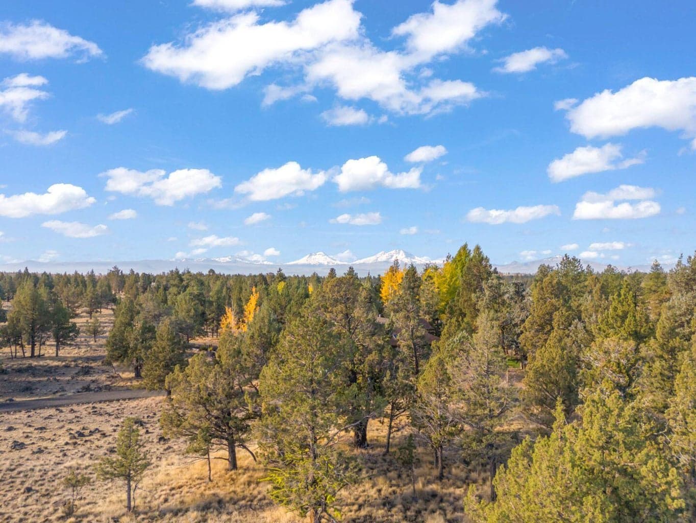 Photo of 17720 Mountain View Road 6 of 16