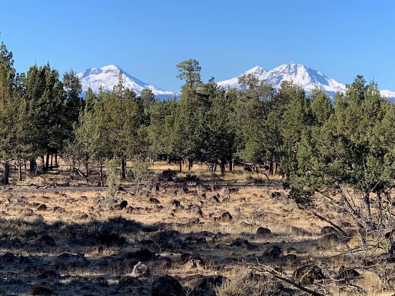 Photo of 17720 Mountain View Road 9 of 16