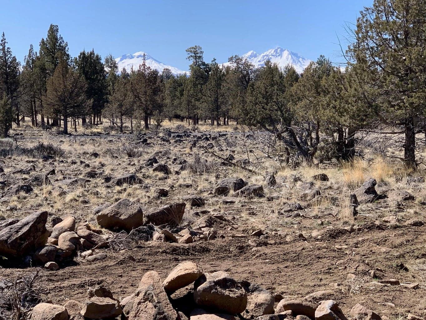 Photo of 17720 Mountain View Road 10 of 16