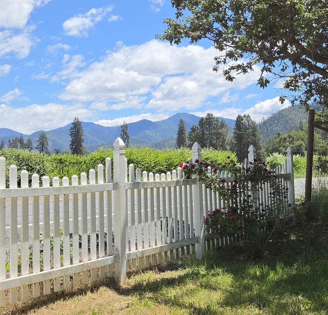 Front yard