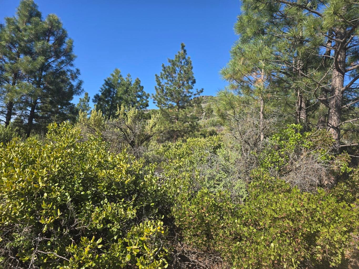 Photo of 0 Cote Canyon 2 of 12