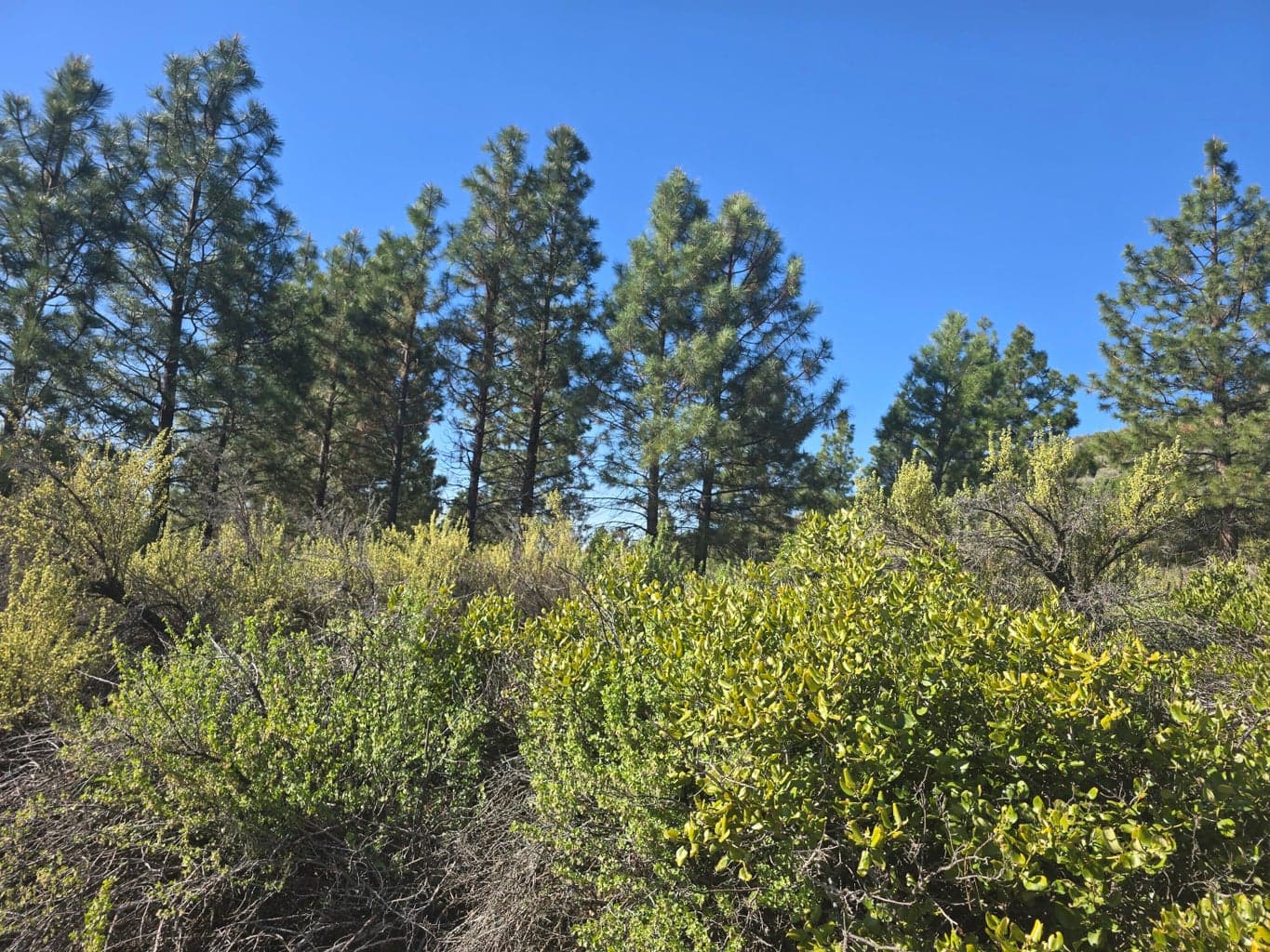 Photo of 0 Cote Canyon 3 of 12