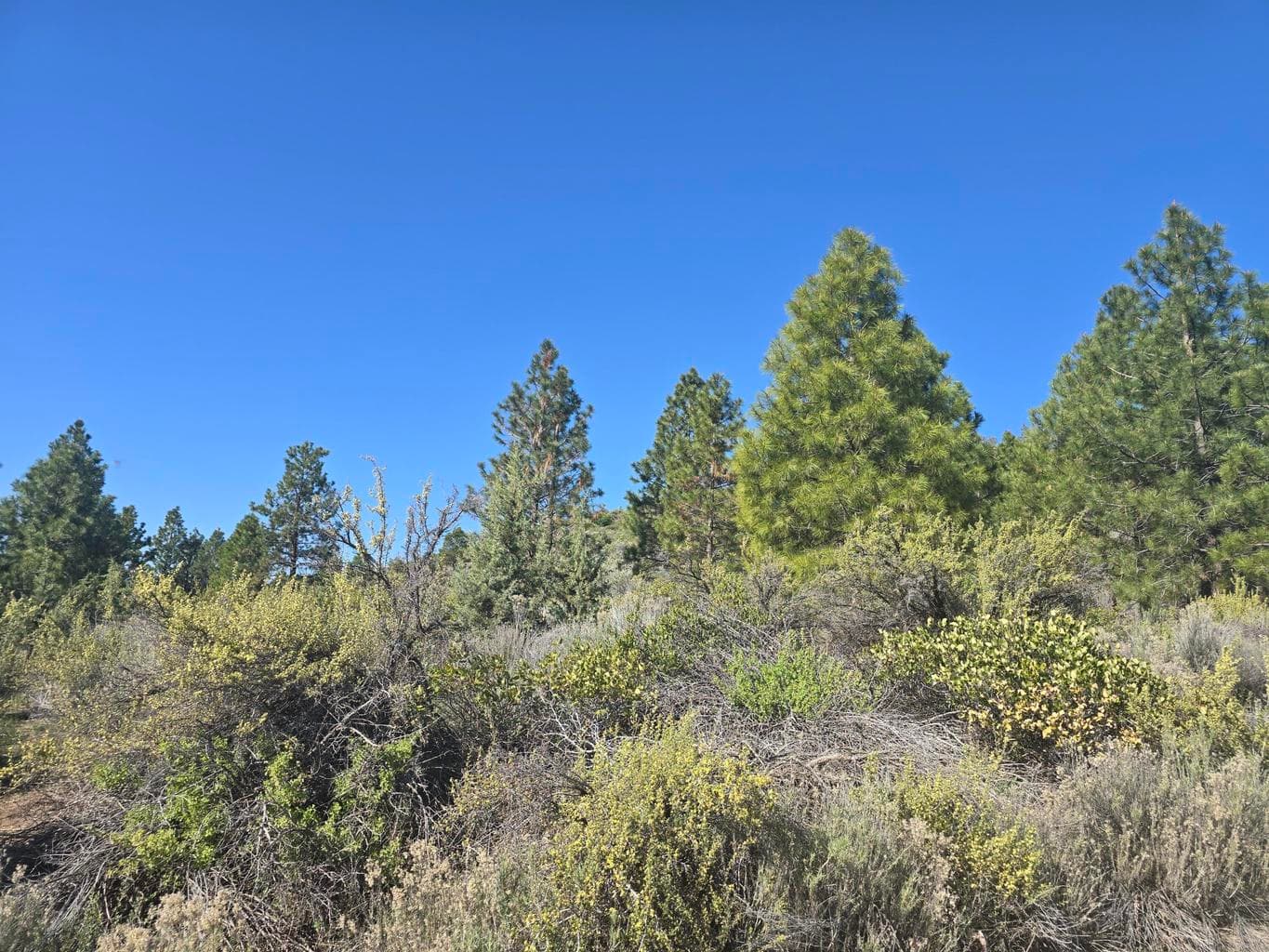 Photo of 0 Cote Canyon 5 of 12
