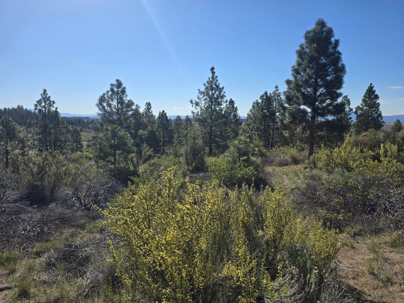 0 Cote Canyon, Sprague River, 97639