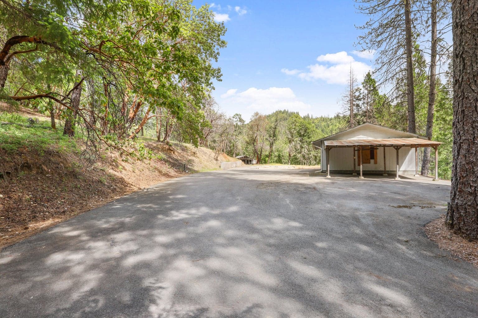 Photo of 6584 Pleasant Creek 4 of 11