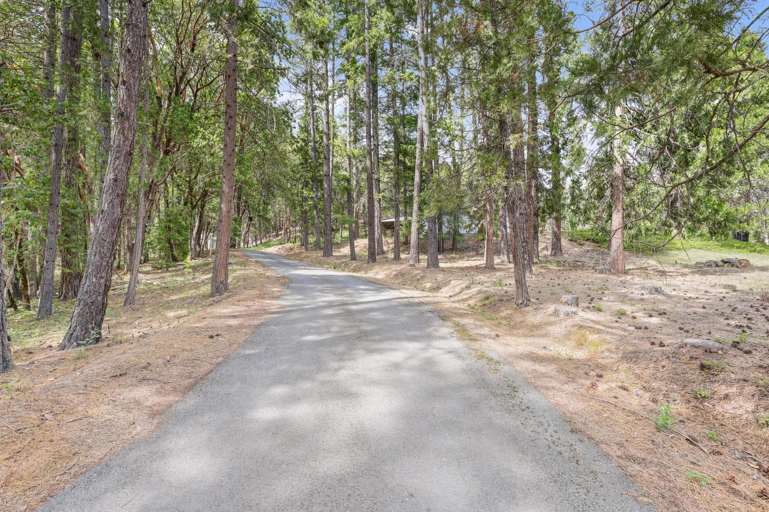 Photo of 6584 Pleasant Creek 3 of 11