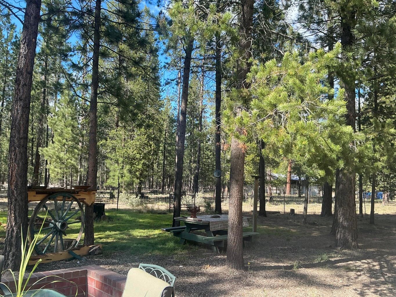 Towards the back right side of lot