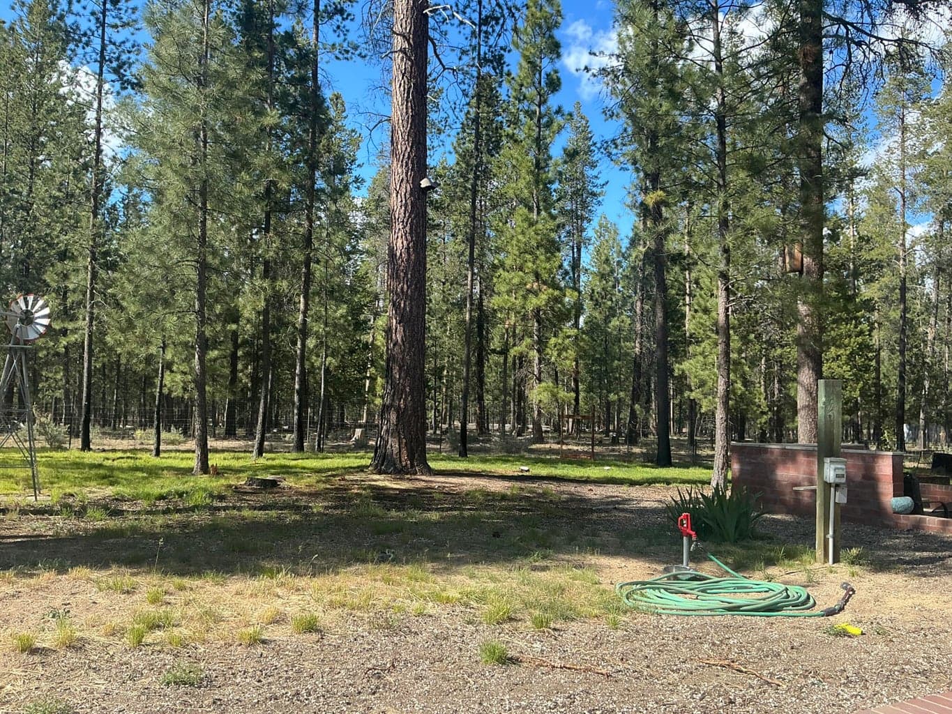 Towards the back left side of lot