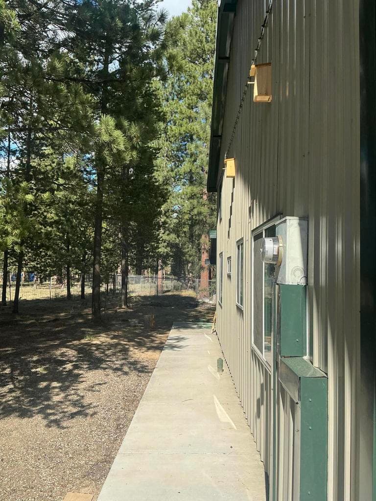 Left side of house walking to back patio