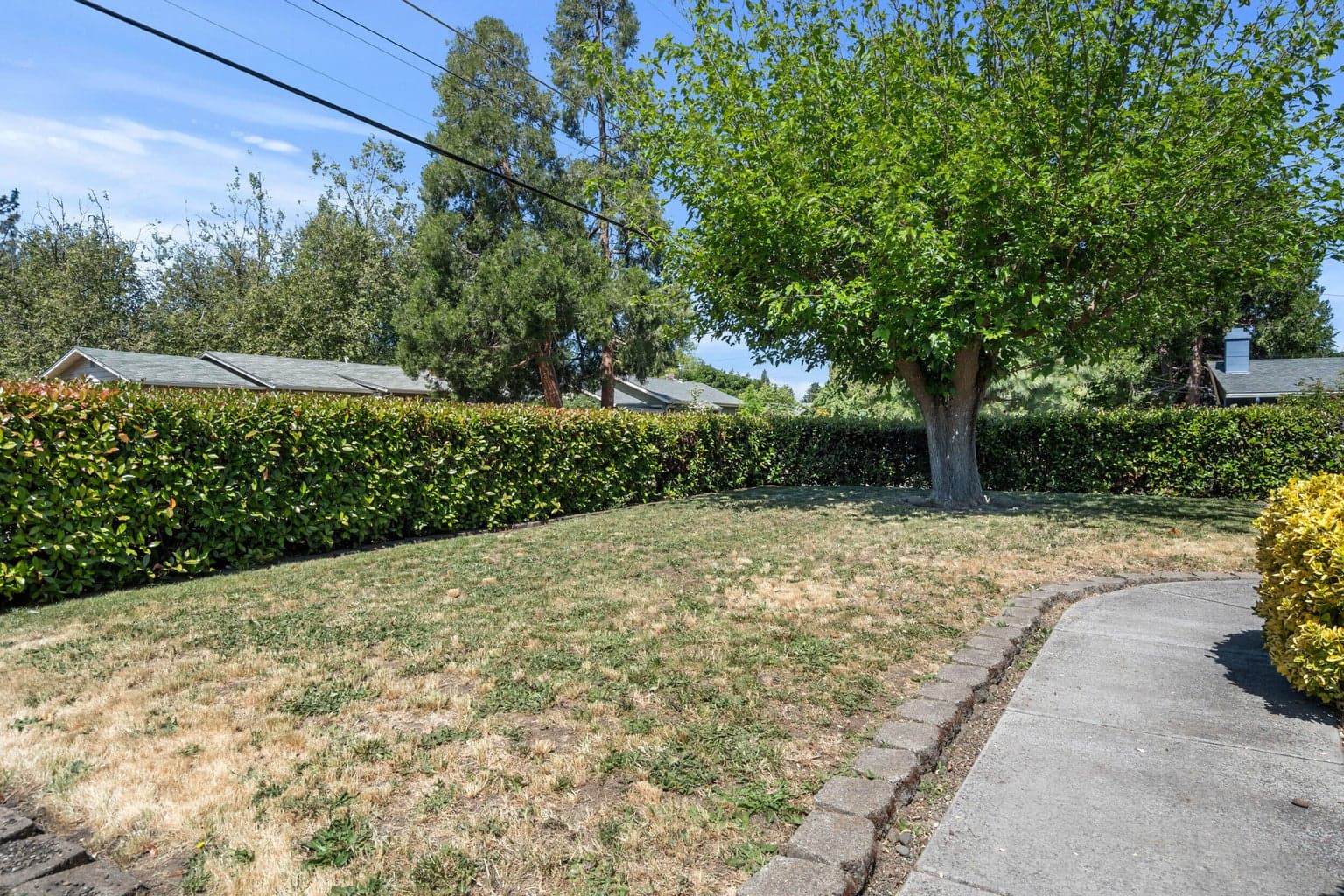 Photo of 110 2nd 4 of 27