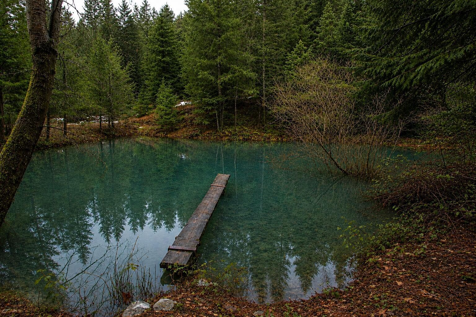 Pond