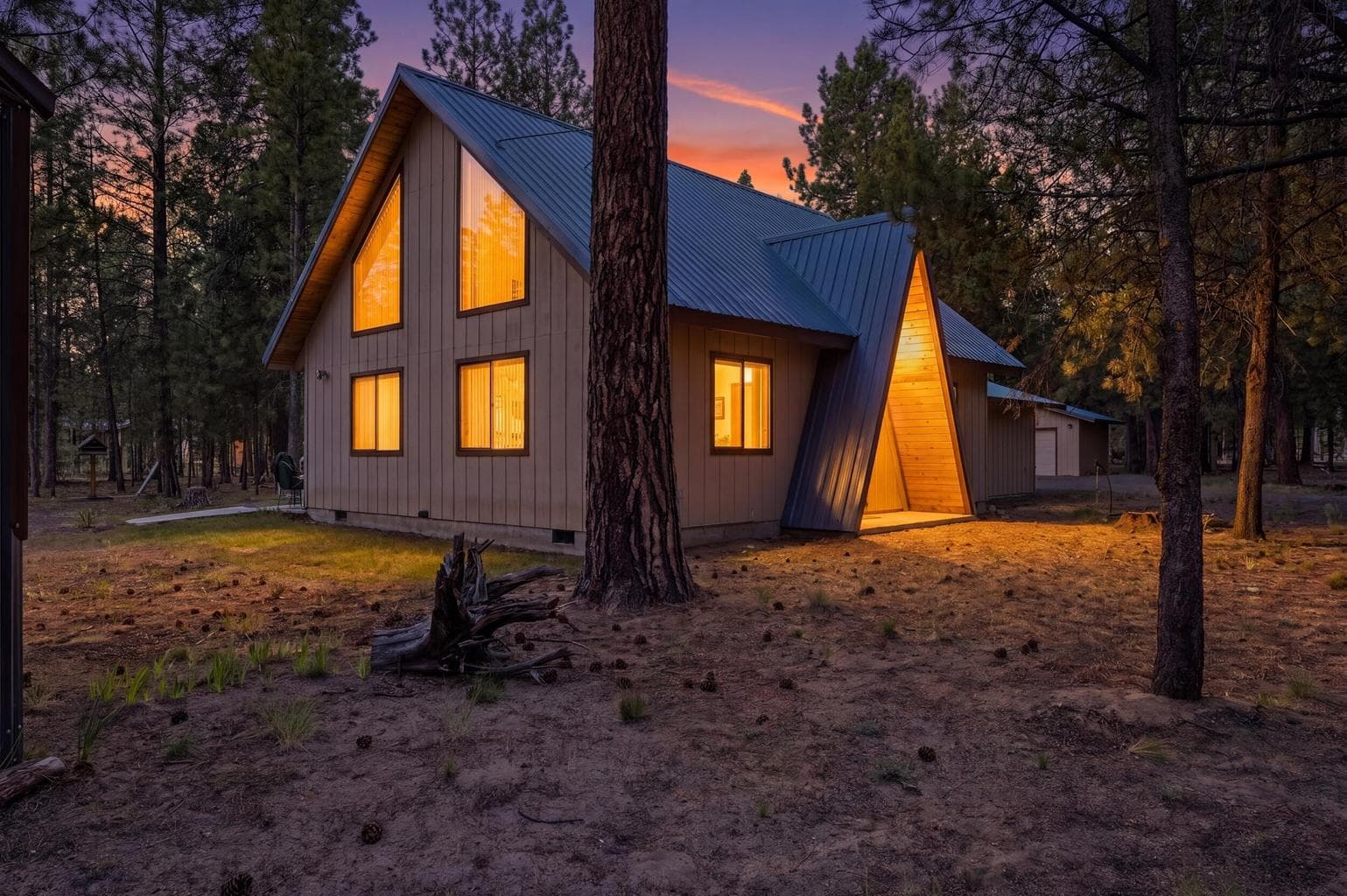52035 Noble Fir