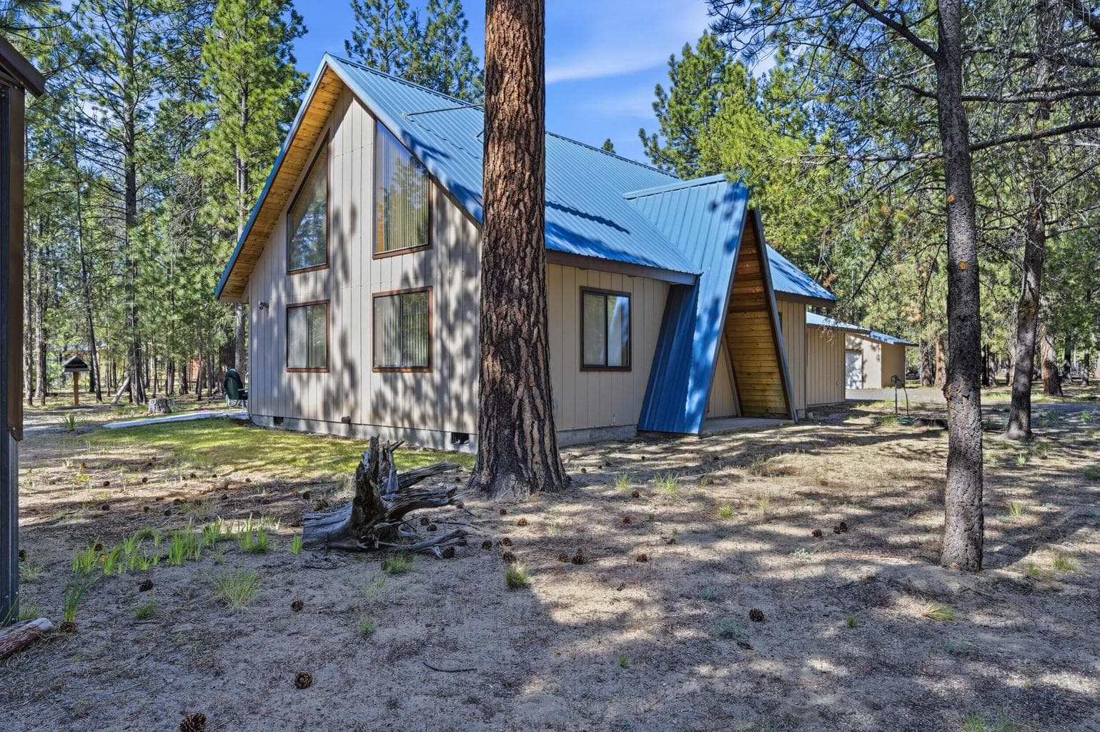 Photo of 52035 Noble Fir 3 of 19