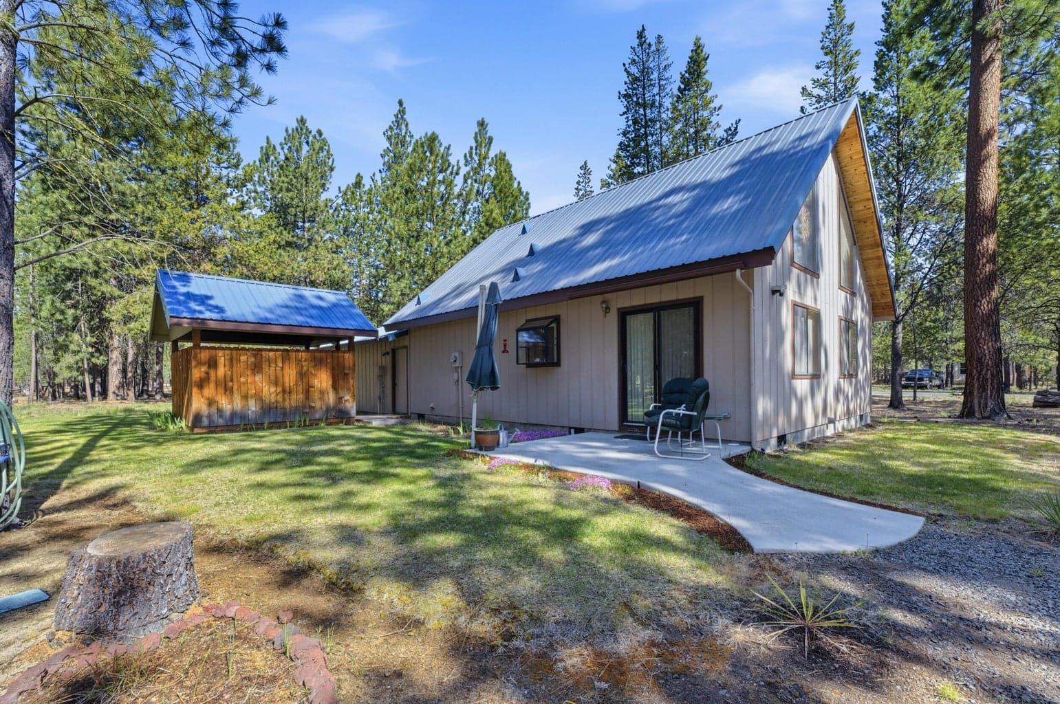 Photo of 52035 Noble Fir 4 of 19