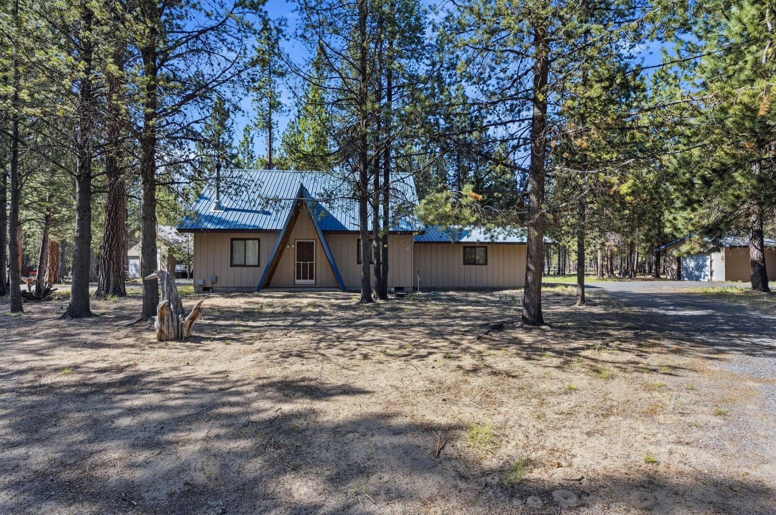 Photo of 52035 Noble Fir 2 of 19