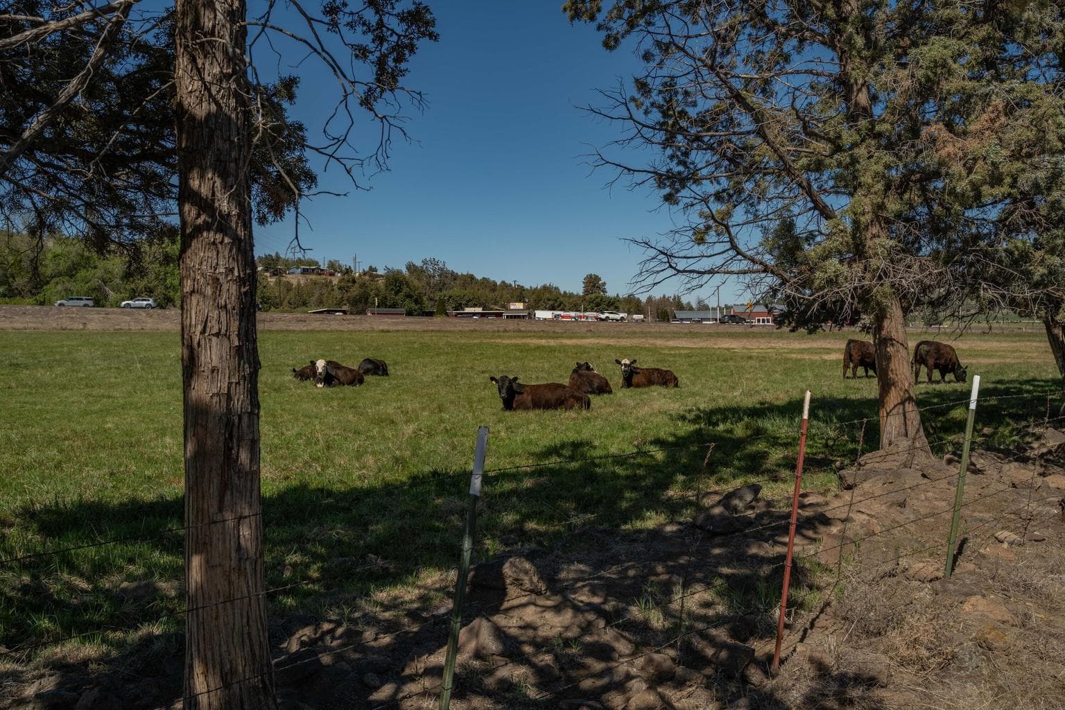Photo of 5010 N Highway 97 20 of 29