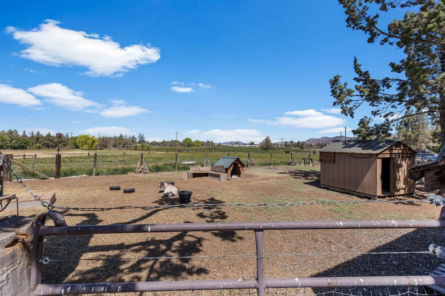 Private hobby farm retreat minutes from downtown Redmond.