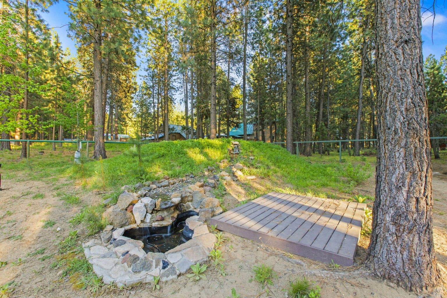 Peaceful backyard water feature creates a relaxing outdoor retreat among the pines.
