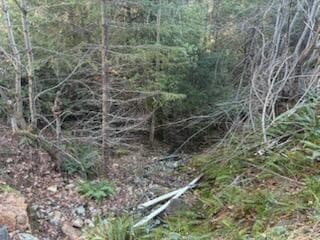 looking towards creek. which gets real low in late summer.