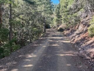 Some of road to property is pretty accessable.