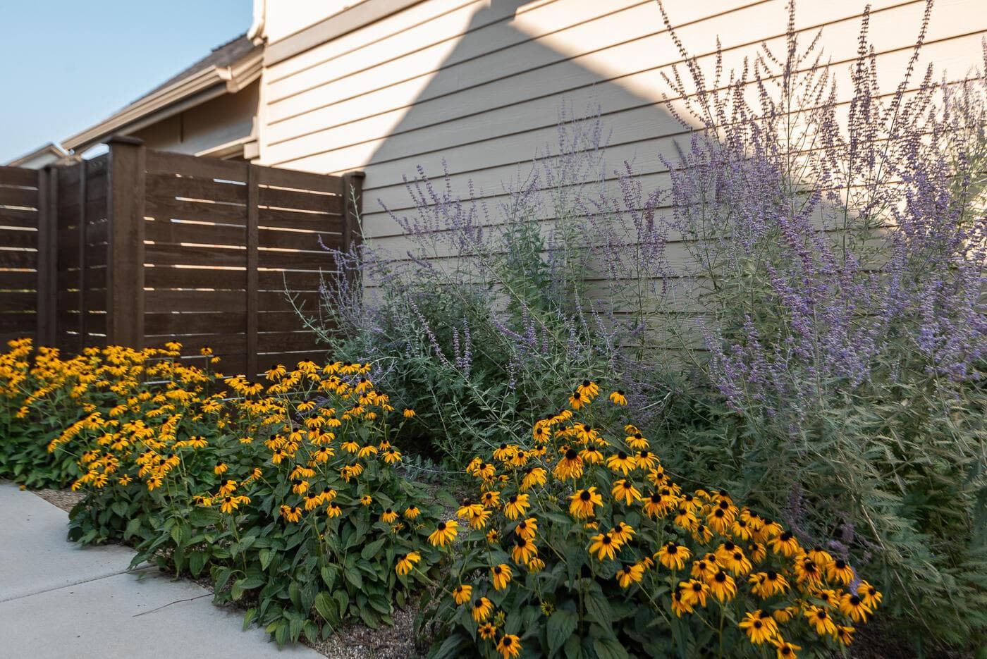native plants can bring a variety of color