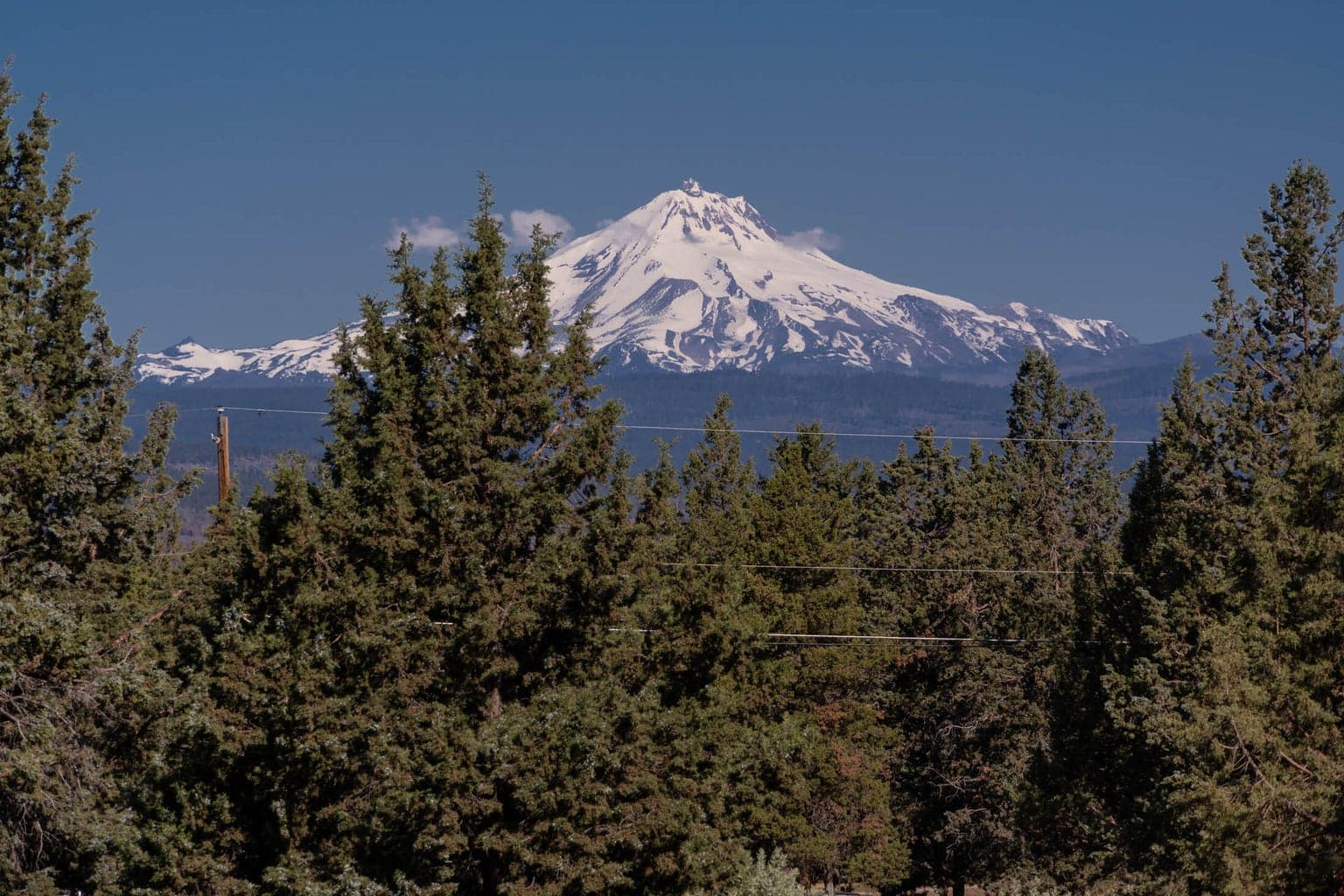 Mt. Jefferson view!