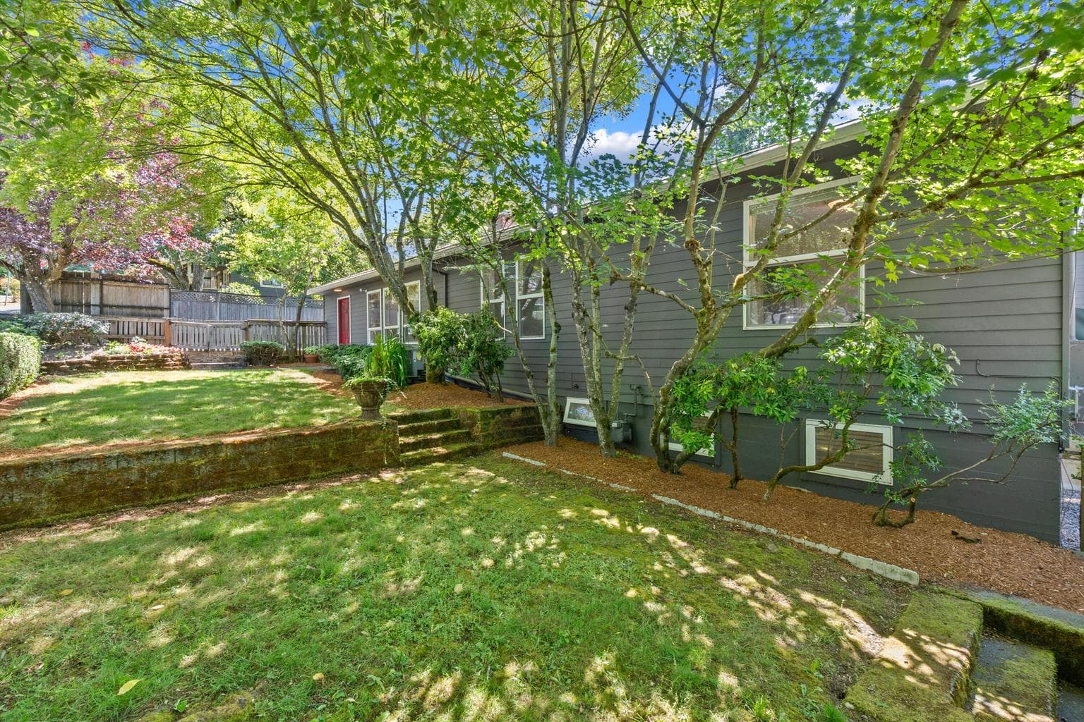 Photo of 620 Orchid 3 of 46