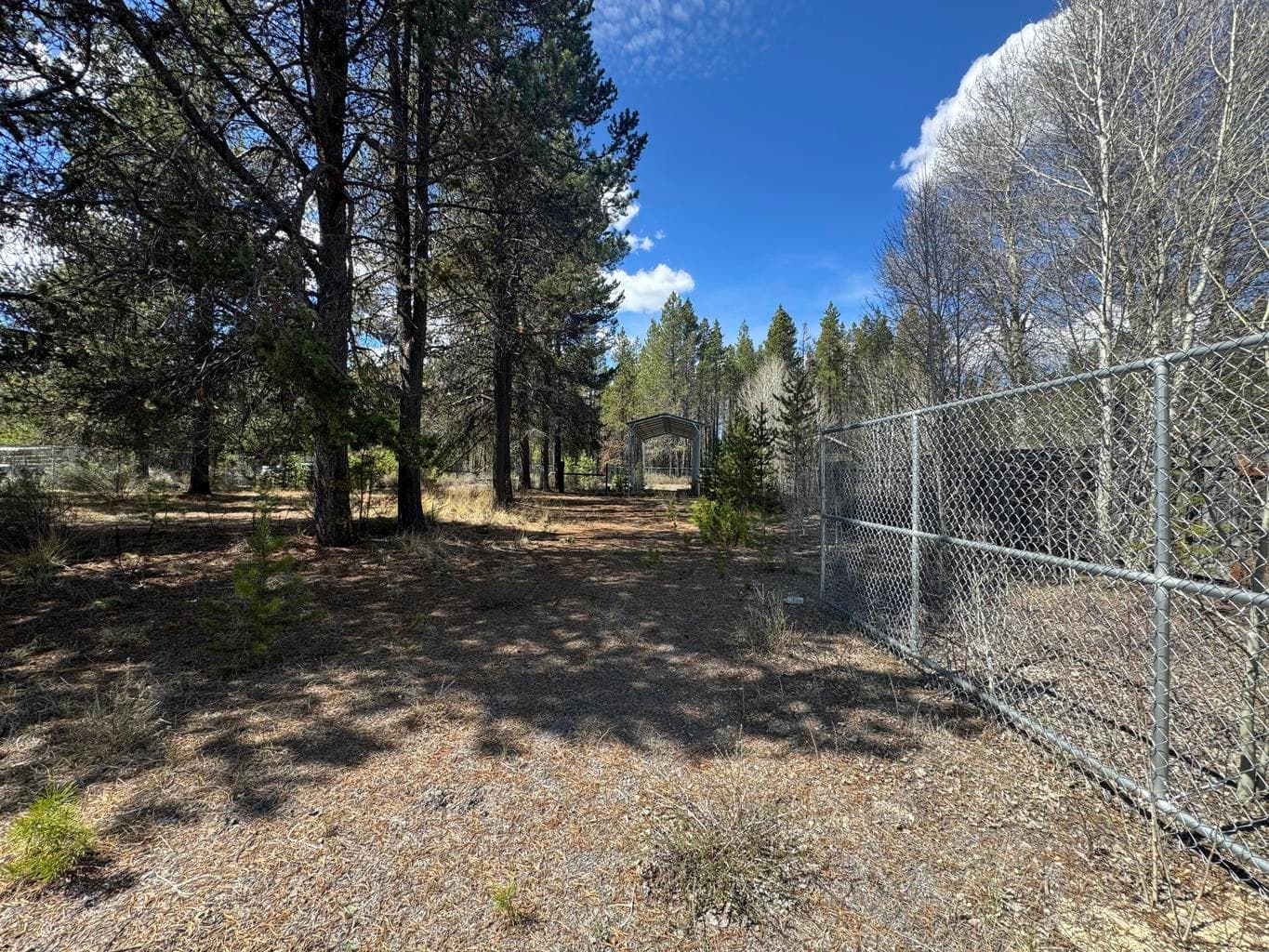 Photo of 135744 Highway 97 4 of 25
