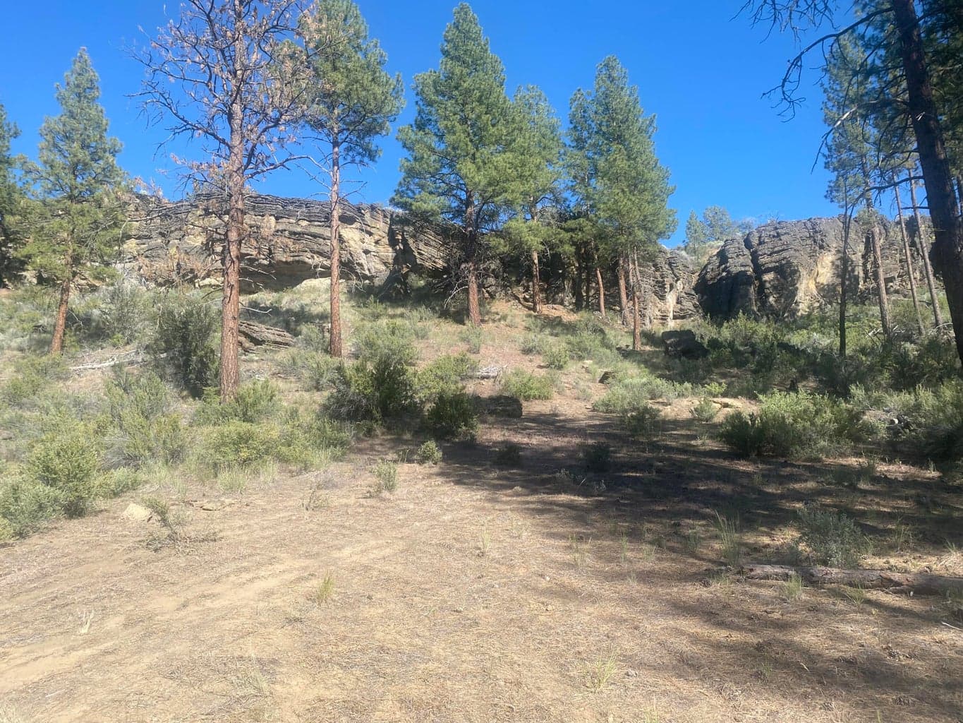Photo of 0 Klamath Forest Estates 1 of 18