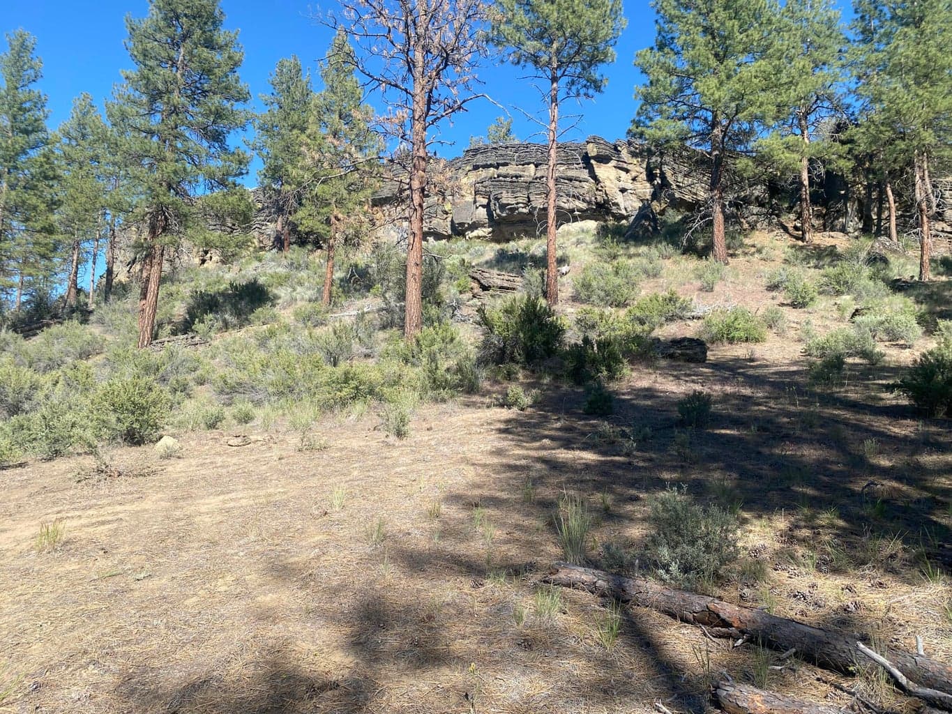 Photo of 0 Klamath Forest Estates 2 of 18