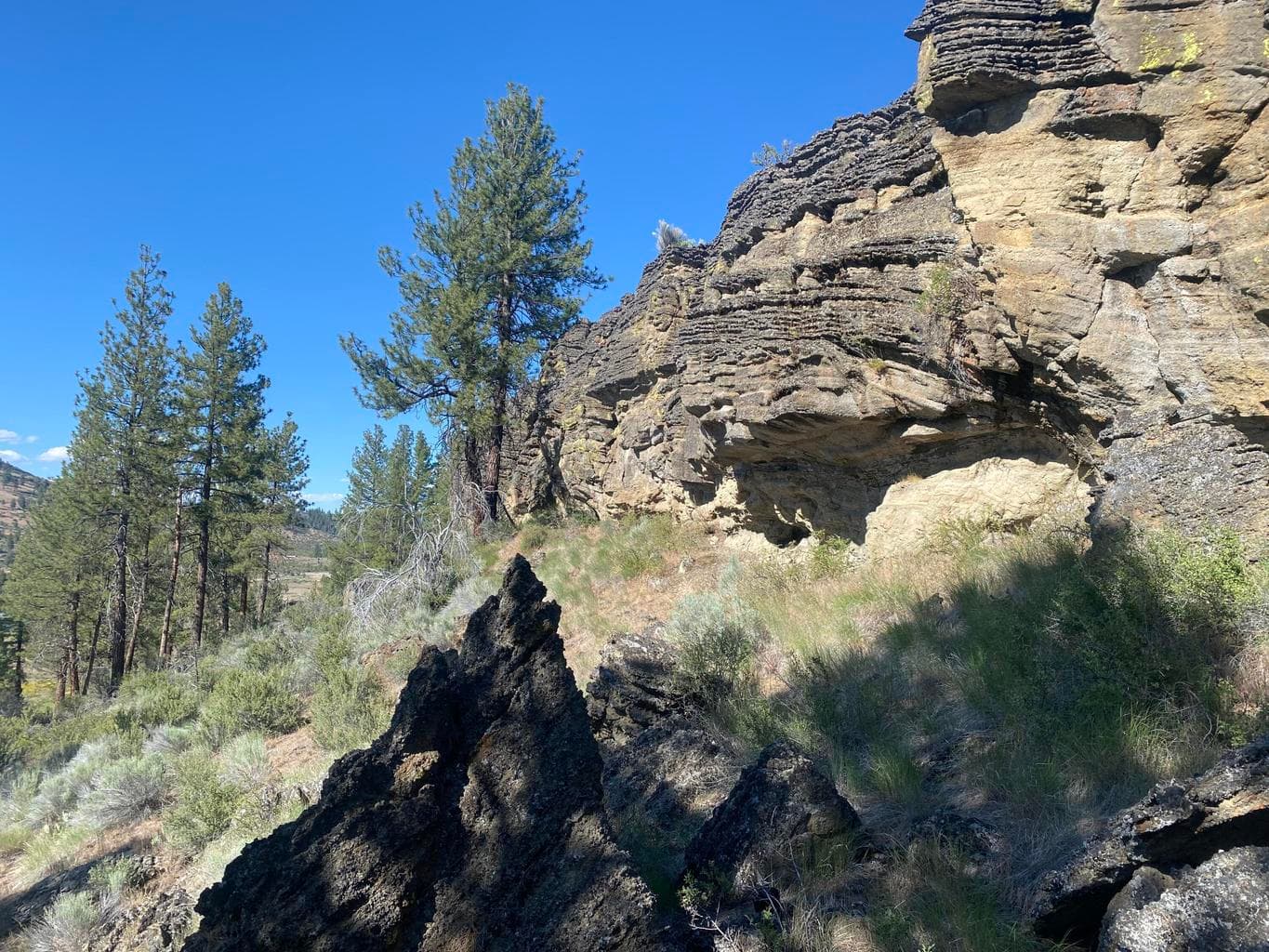 Photo of 0 Klamath Forest Estates 4 of 18