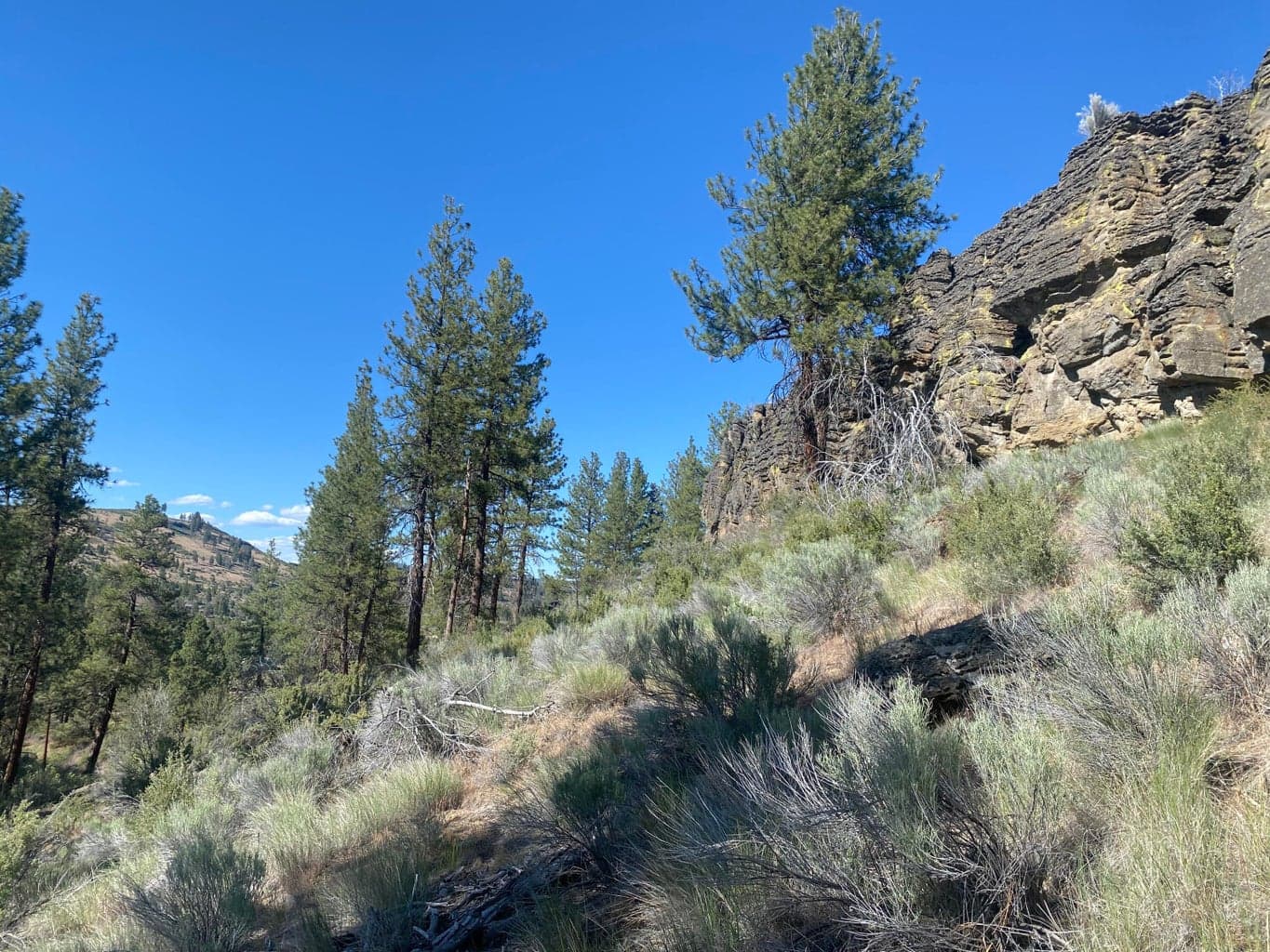 Photo of 0 Klamath Forest Estates 5 of 18