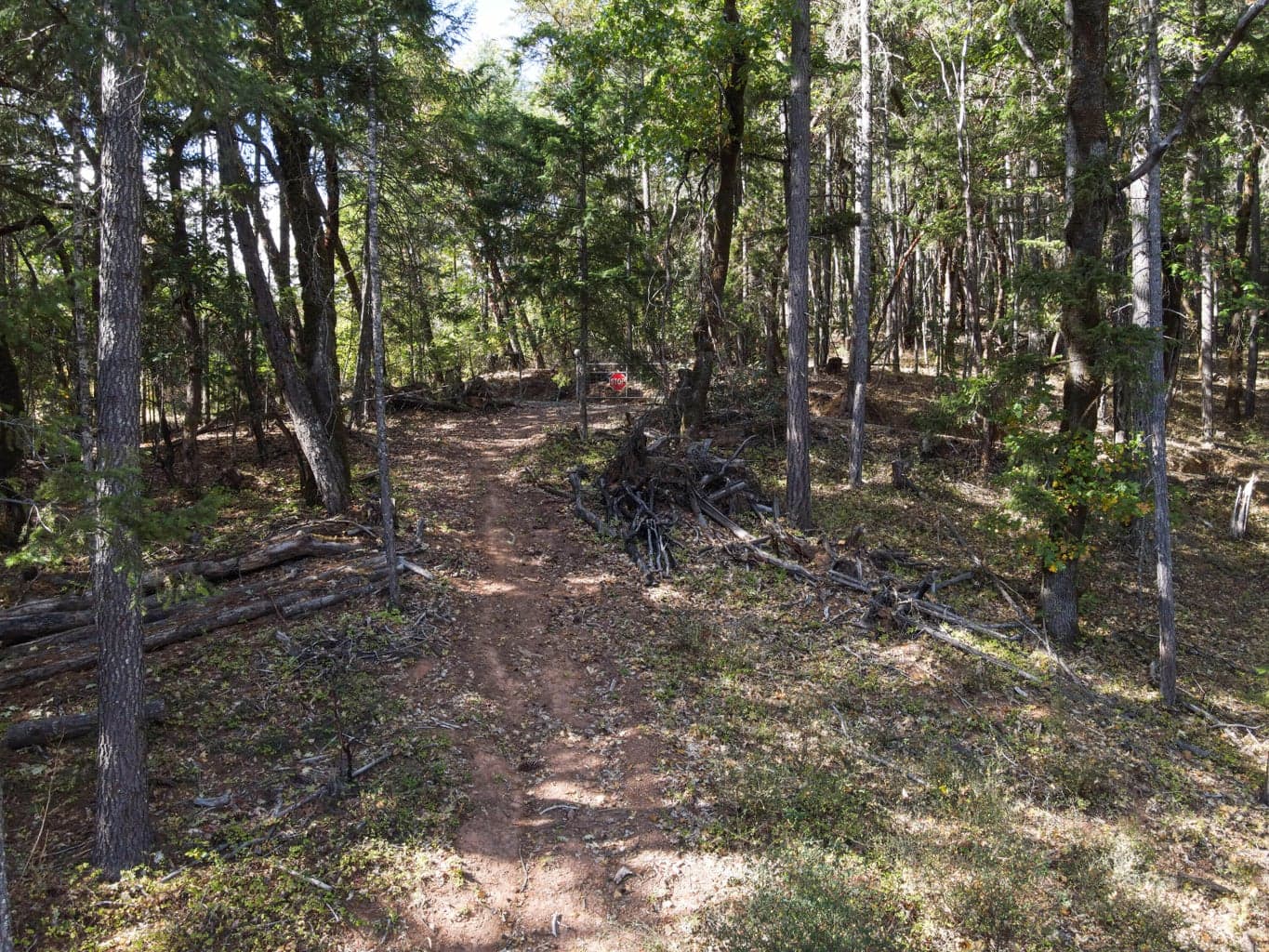 Photo of Quartz Creek 2 of 24