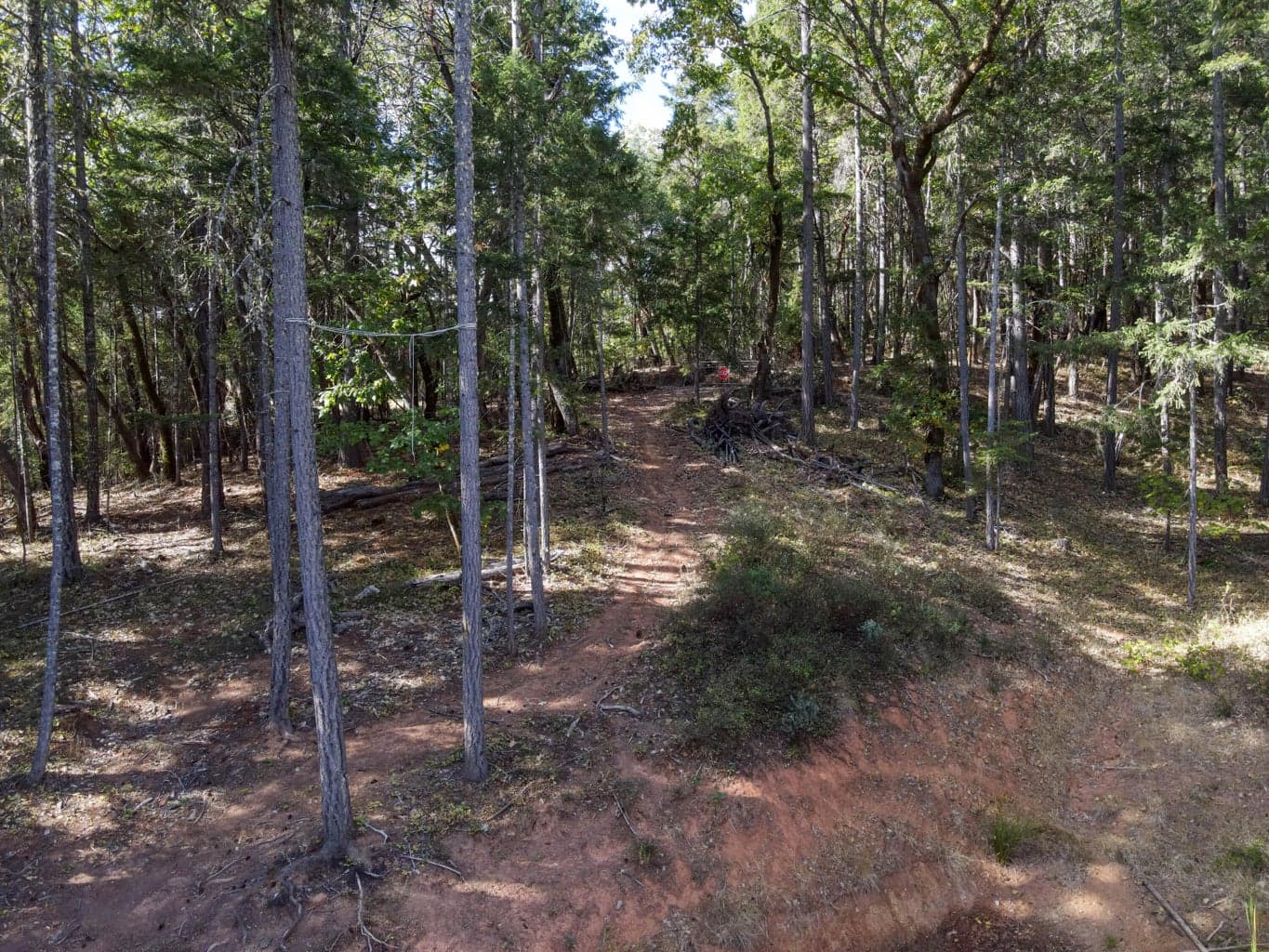 Photo of Quartz Creek 3 of 24