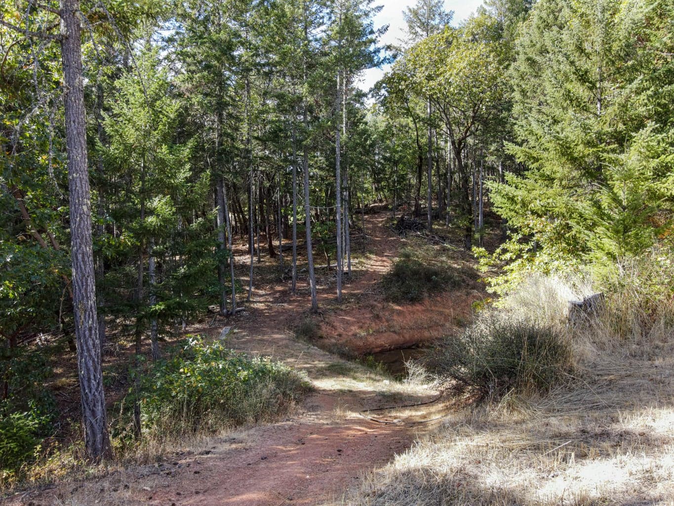 Photo of Quartz Creek 5 of 24