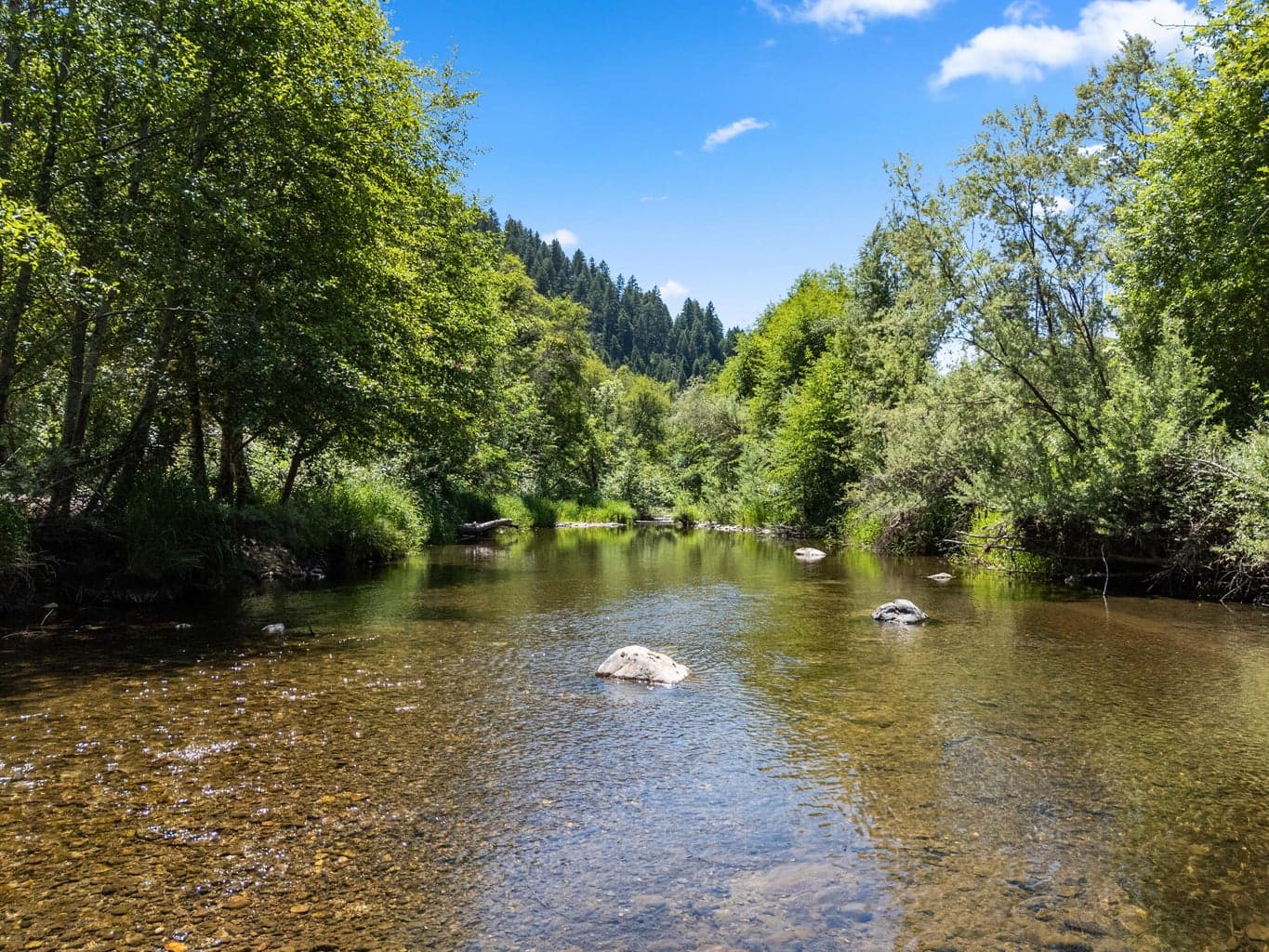 Photo of 13500 Evans Creek 4 of 78