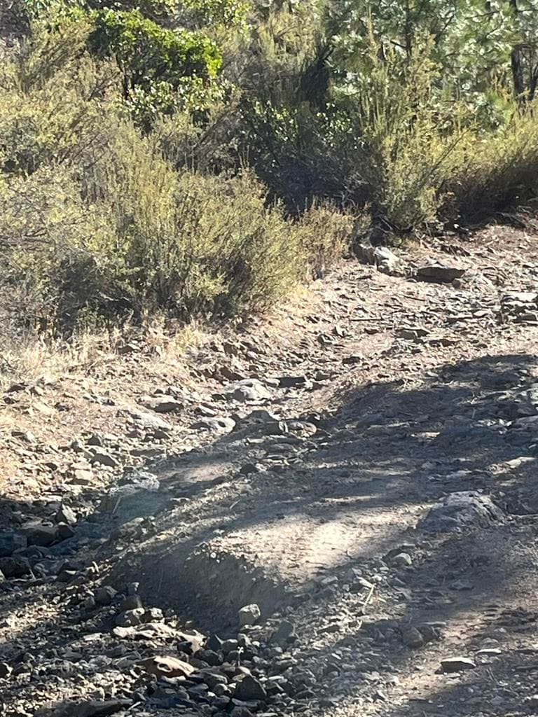 Photo of Tableland 3 of 11