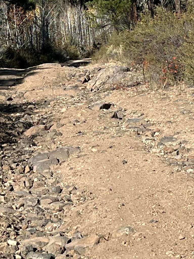 Photo of Tableland 4 of 11