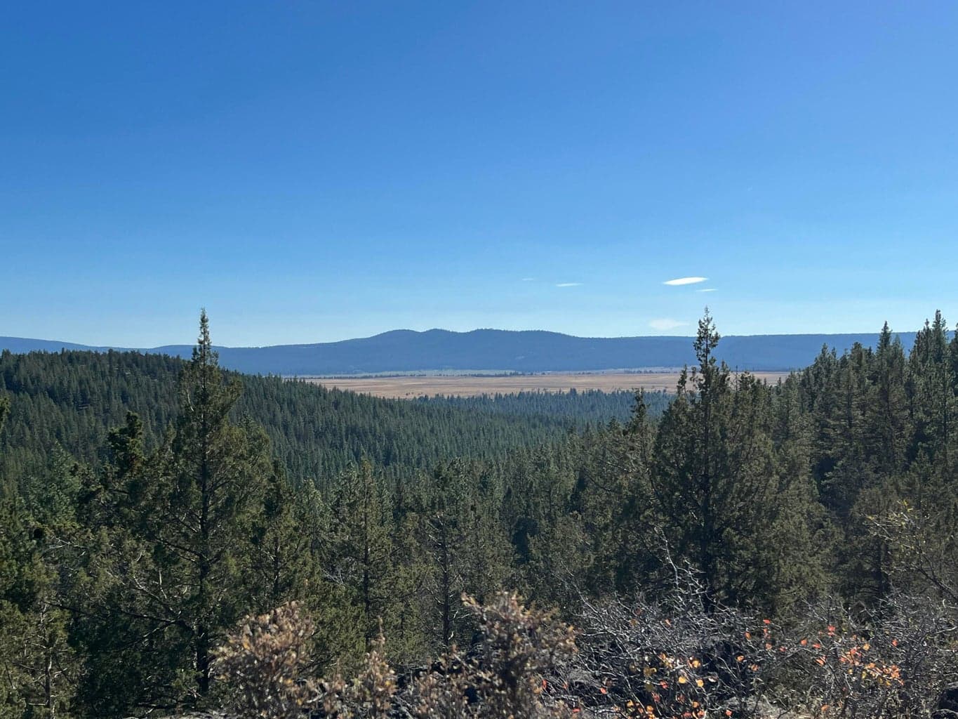 Photo of Tableland 1 of 11