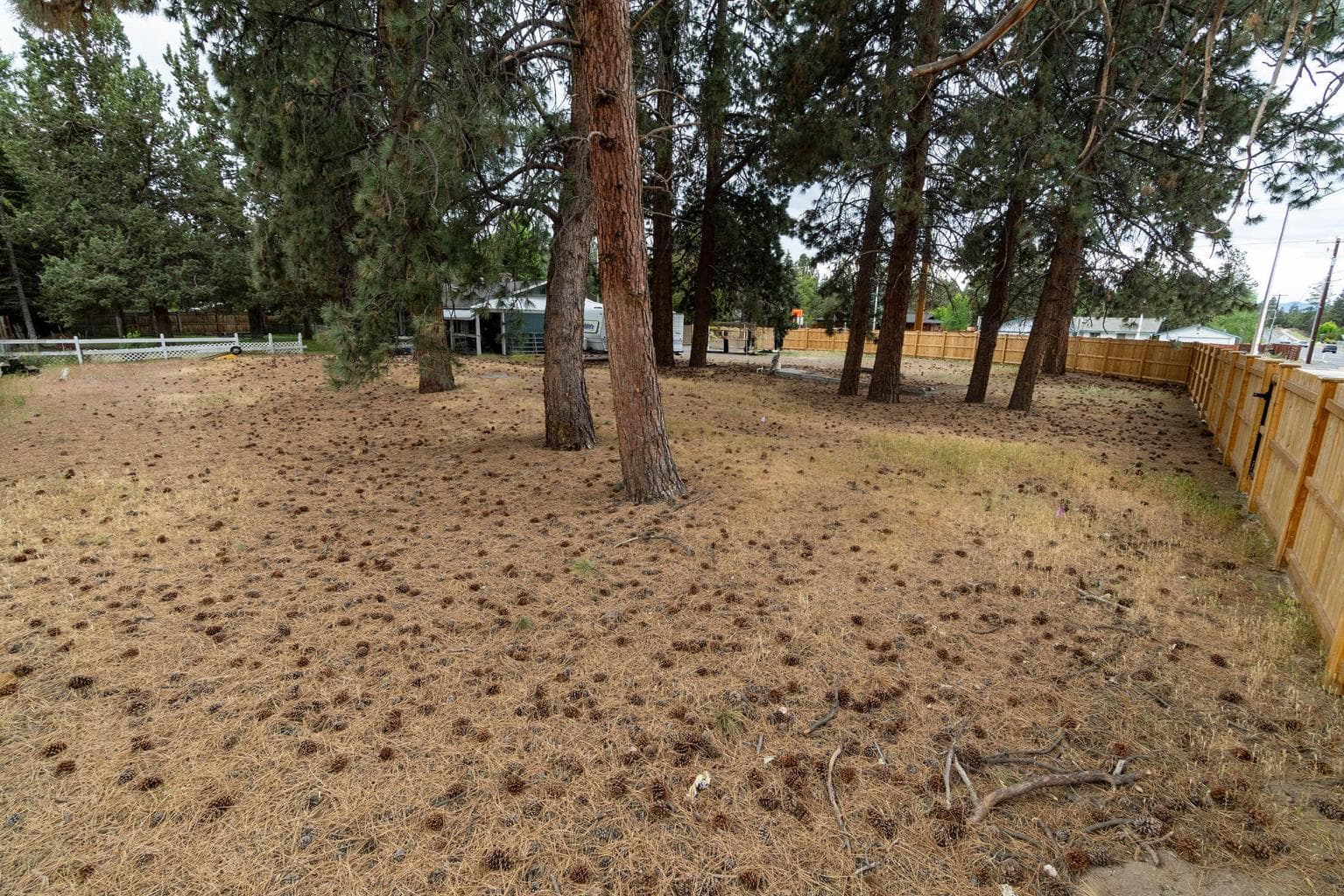 Photo of 61984 Pettigrew Road 27 of 29