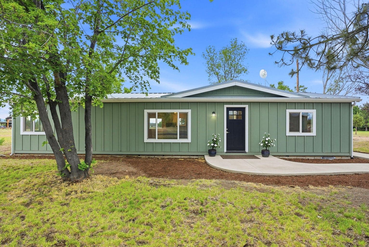 67292 Rabbitbrush