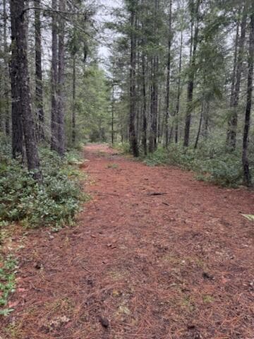 Photo of Lone Mountain 5 of 16